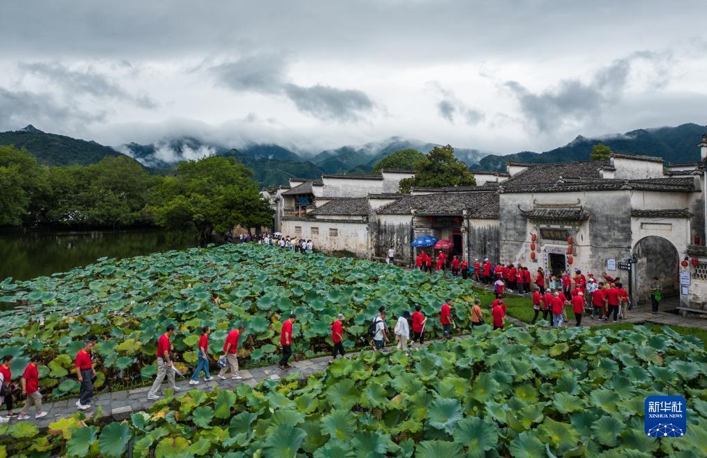 娱乐平台用户登录