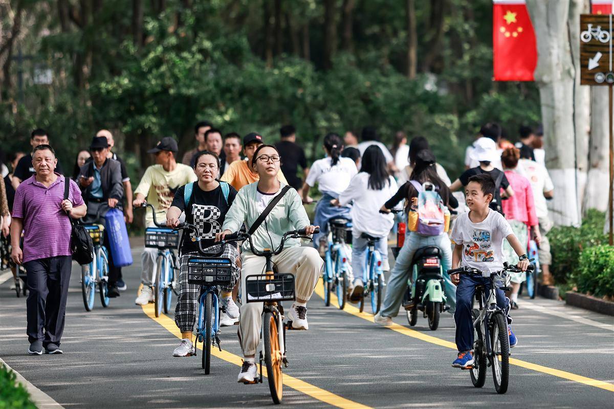 赌城十大官网